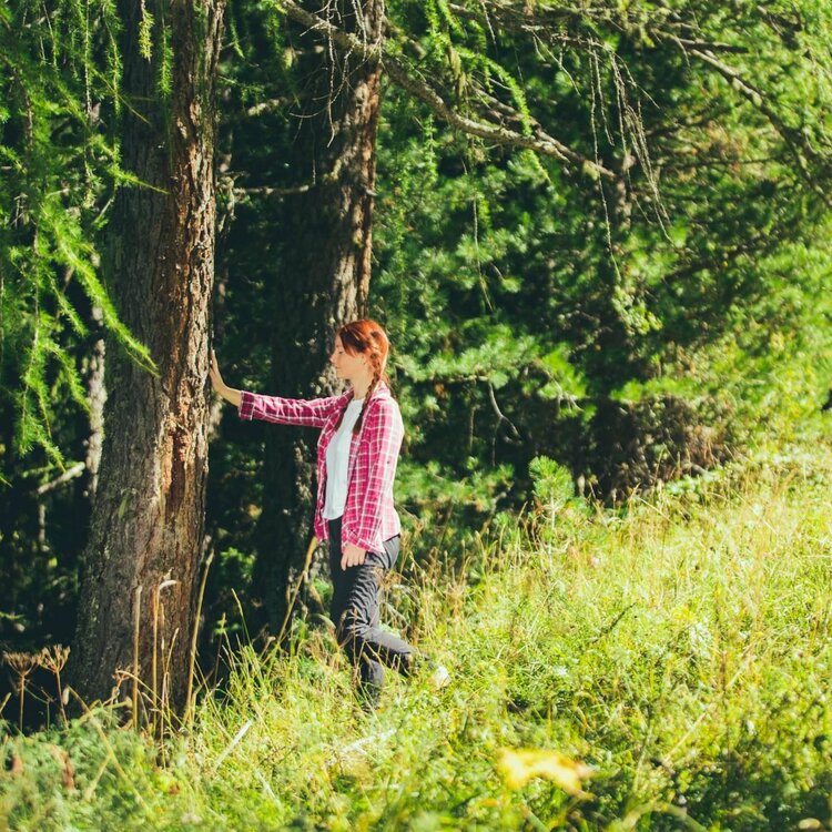 Forest-Bathing_1