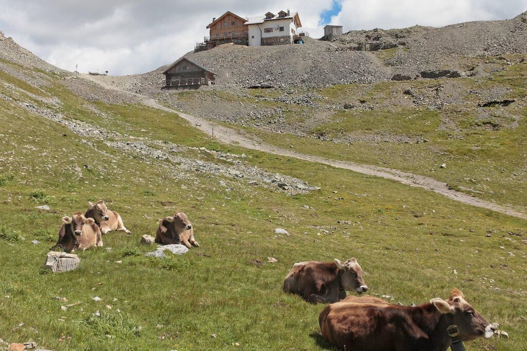 Rifugio Passo delle Selle - Bergvagabundenh&uuml;tte_1