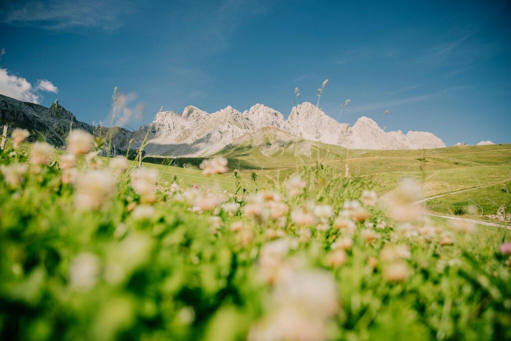 Passo San Pellegrino - Costabella_3