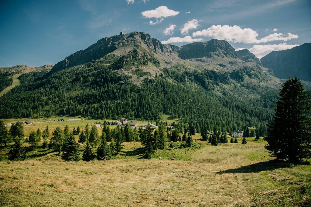 Passo San Pellegrino - Col Margherita