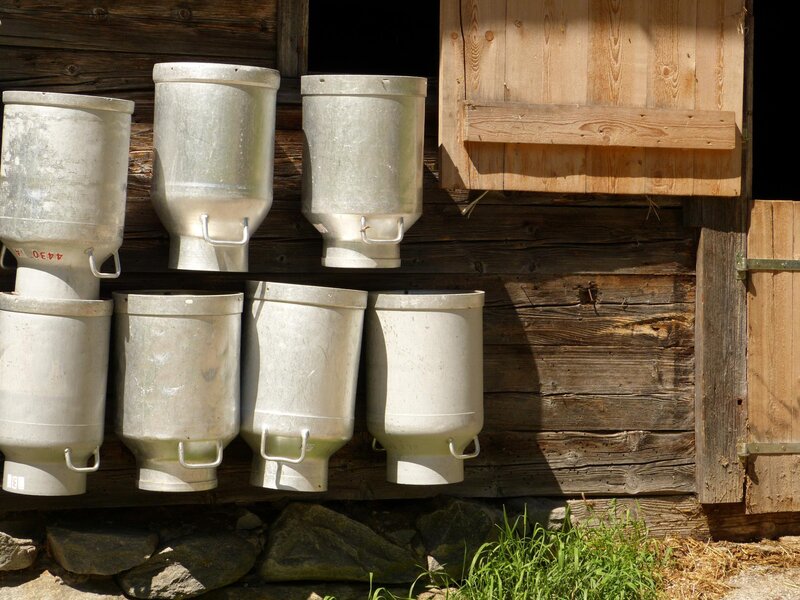 Il laboratorio magico del formaggio