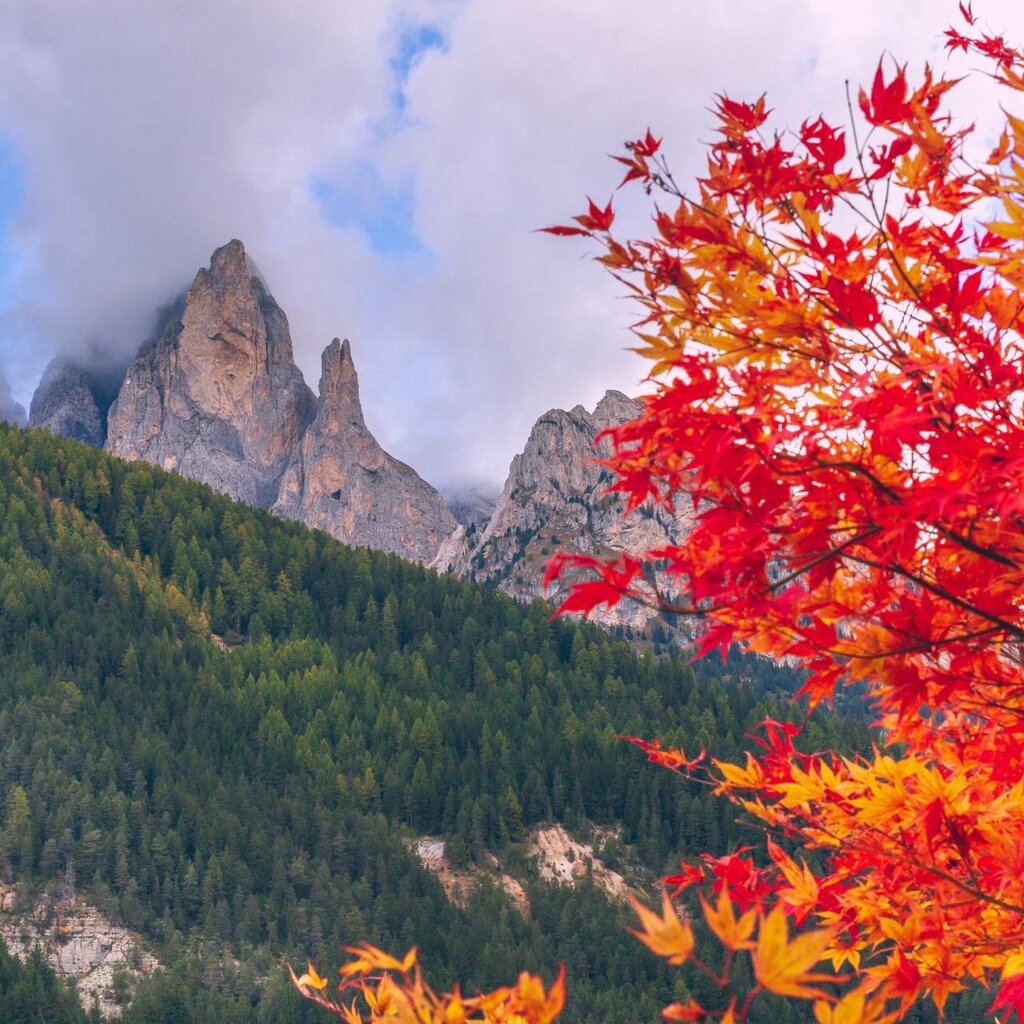 Fassa Fall… in love with Food