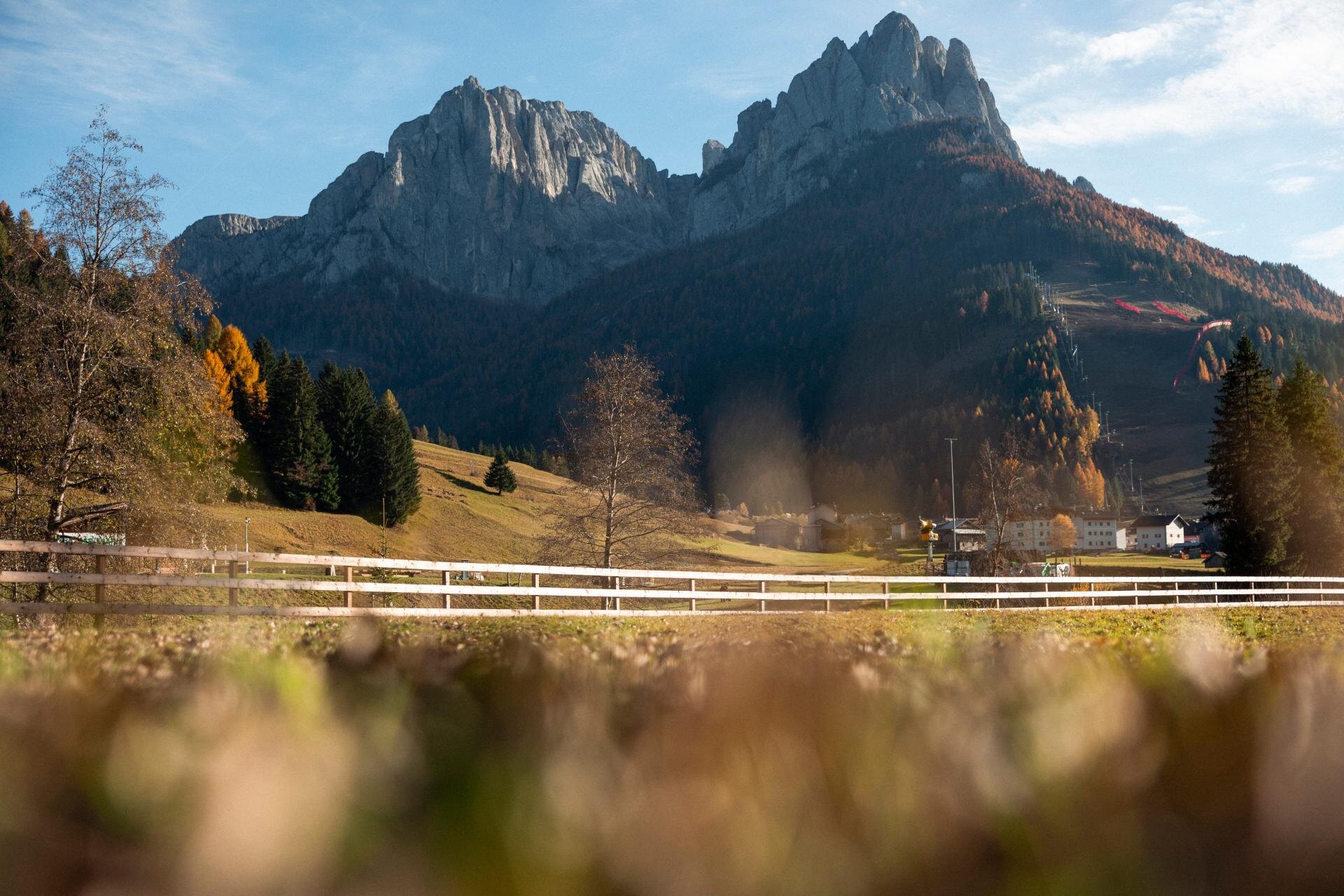 Fassa Fall… in love with Food