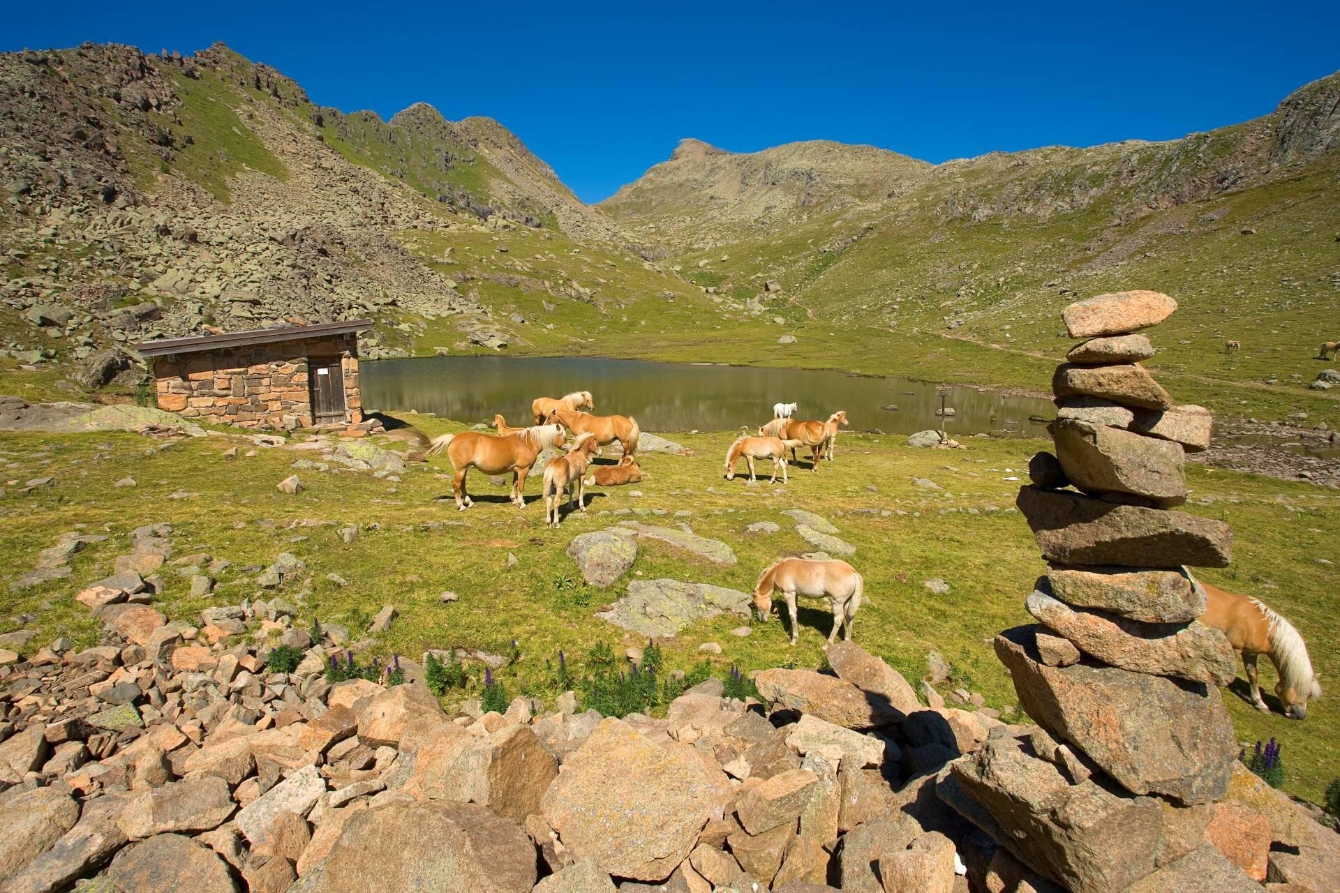 Bivacco Redolf Lago di Lusia