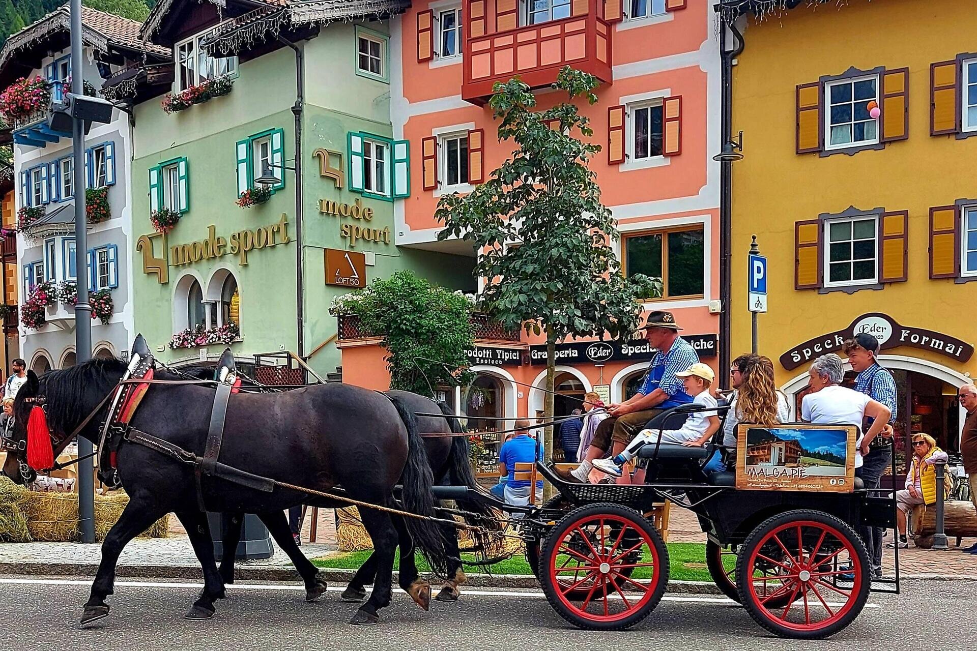 Carrozza cavalli Moena