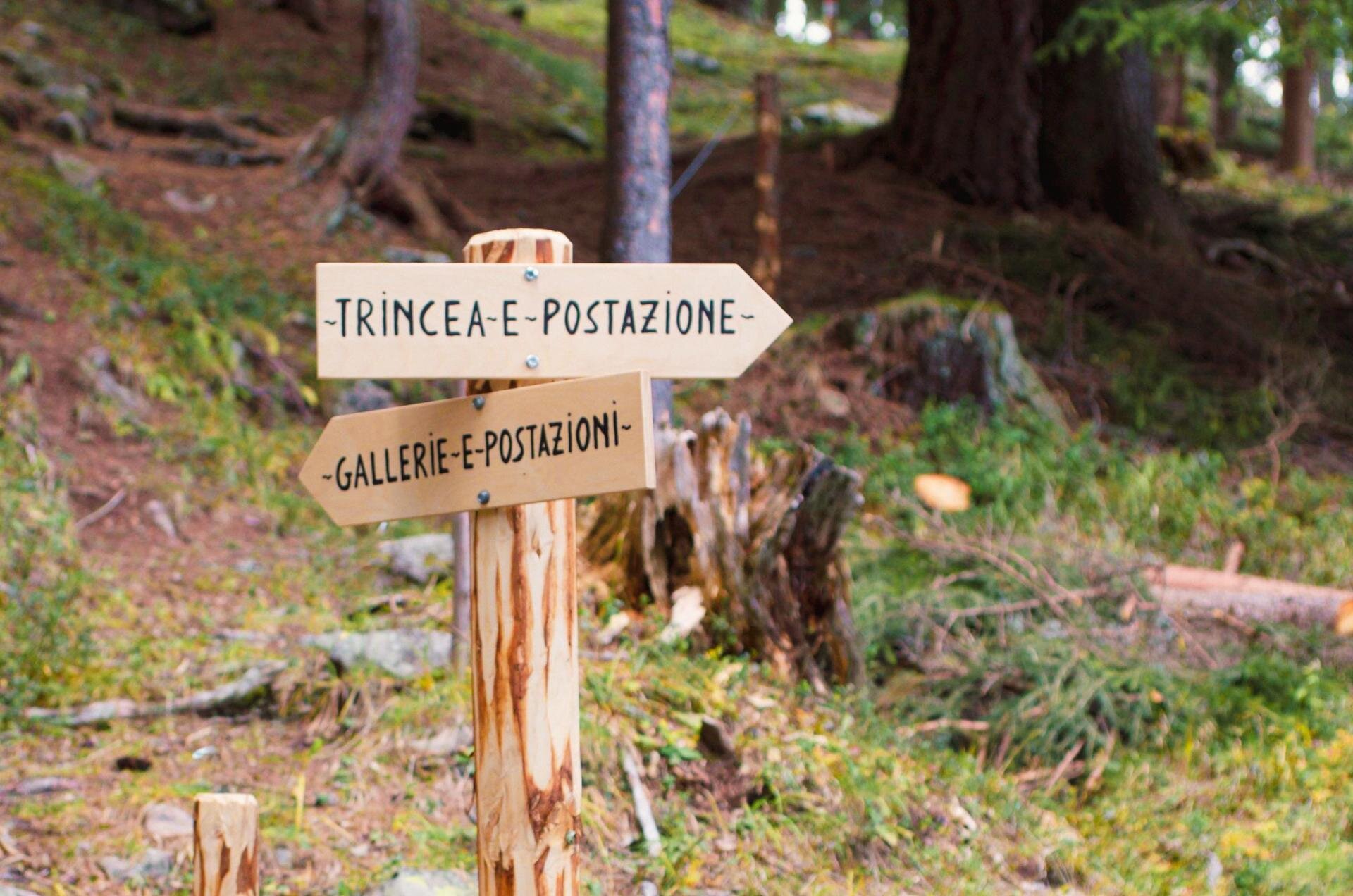 Sentieri di pace - Colvere - Alpe Lusia