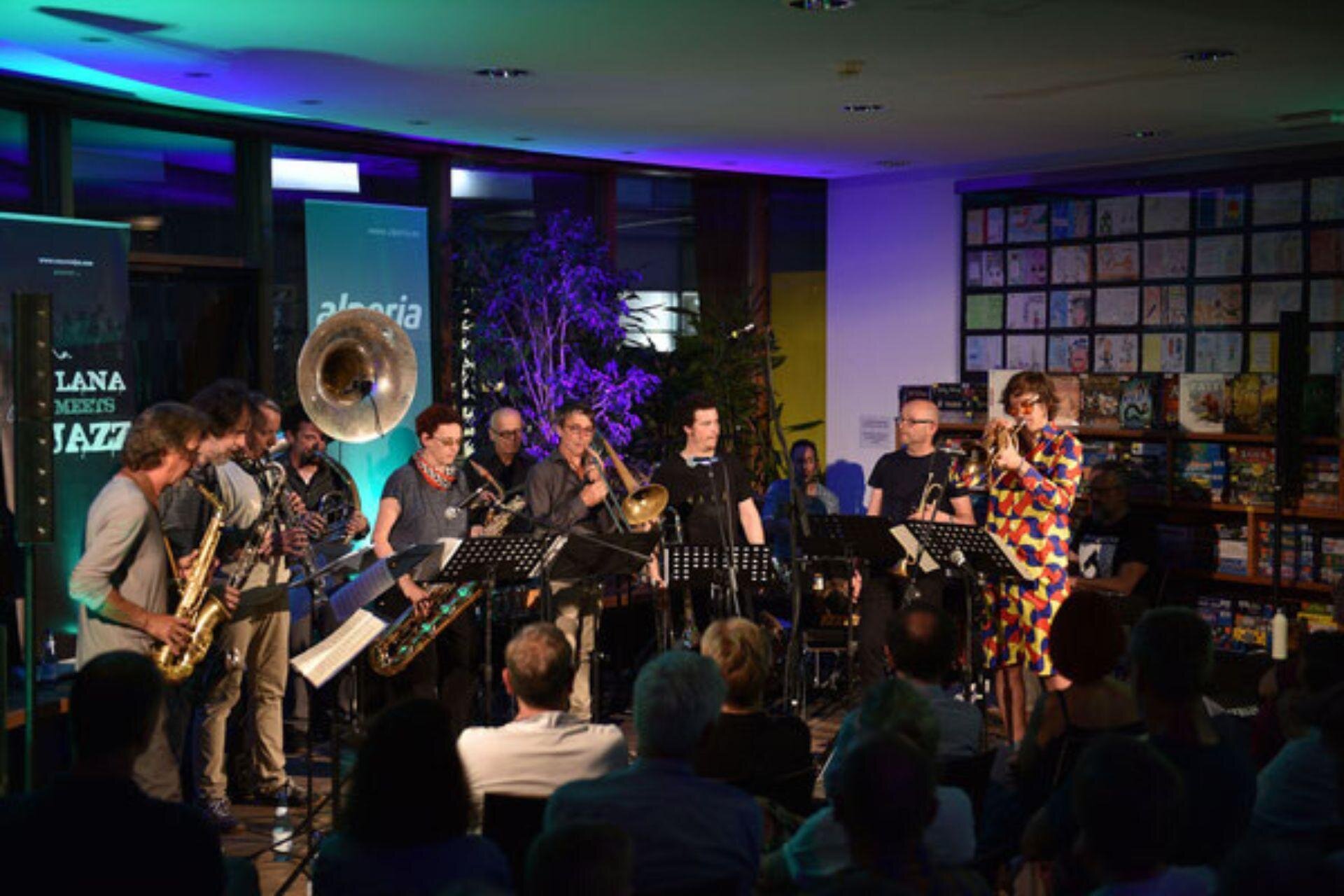 Panorama musica sweet alps orchestra