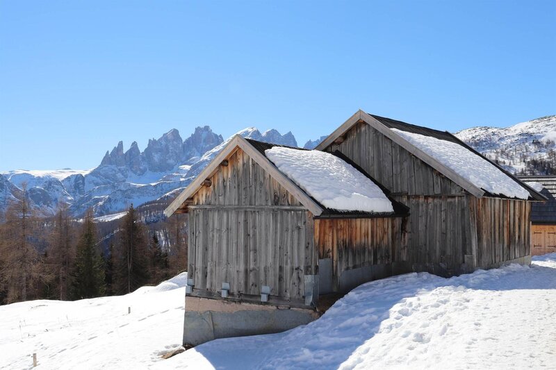 20190228111444_IMG_0267