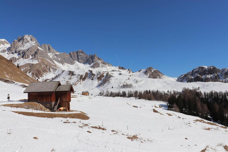 20190228111315_IMG_0265