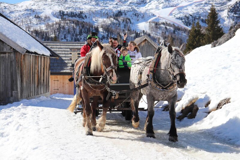 20190228104636_IMG_0100