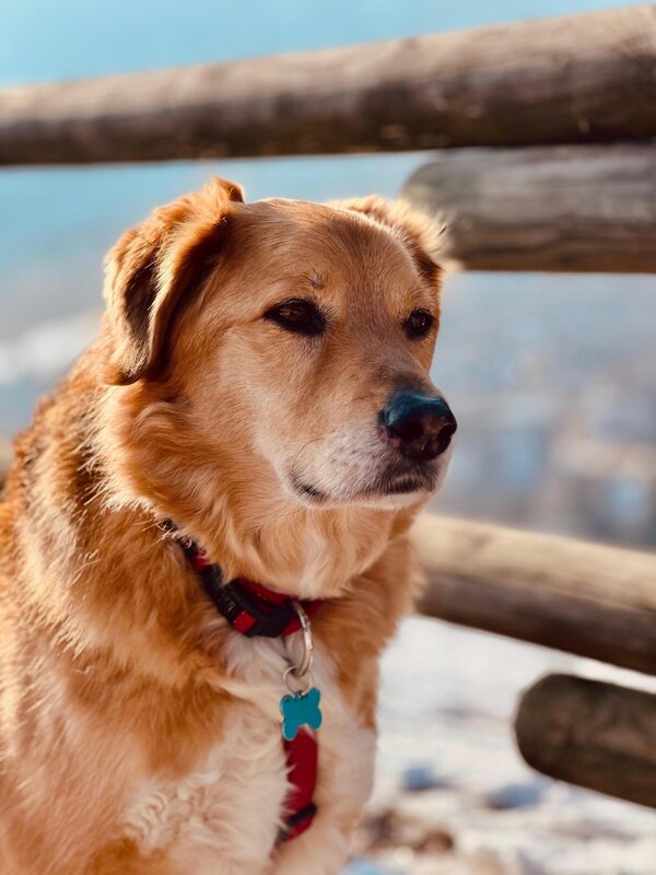 111e9314-21f2-42cd-90a0-16e8d865f891