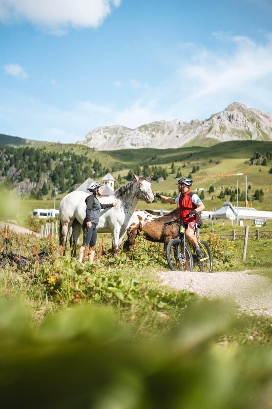 HOTEL_ARNIKA_ESTATE-051