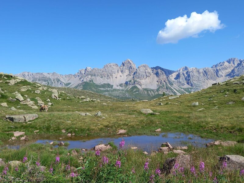 DANY_IMG-20240815-WA0058