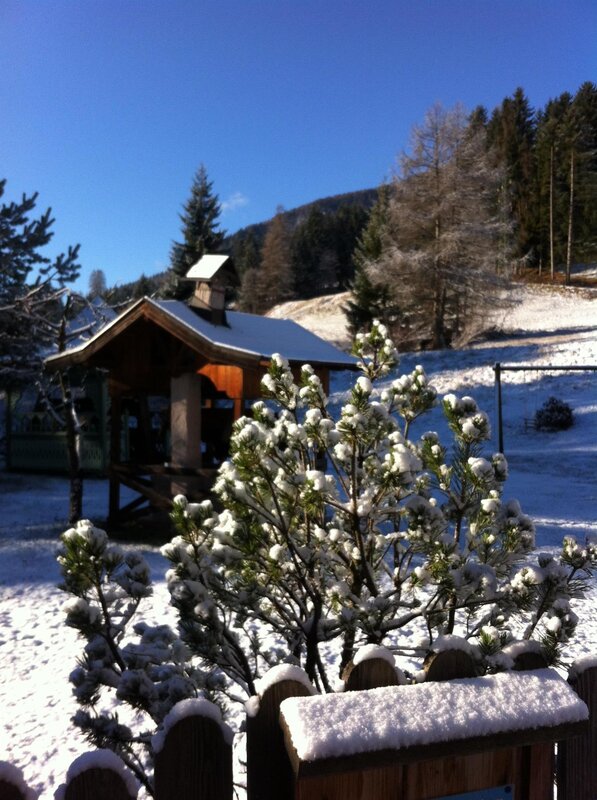 vista giardino inverno