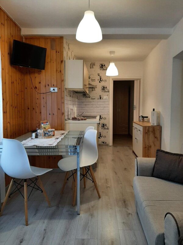 Kitchen and living area
