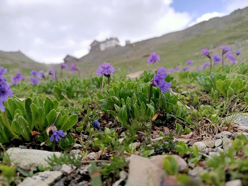 RifugioBergvagabundenhuette_SanPellegrino_05