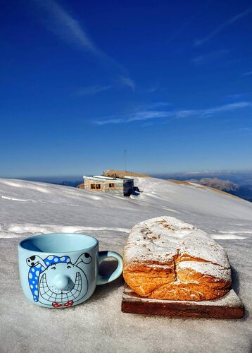 Immagine WhatsApp 2024-02-14 ore 15.53.26_06703ba8