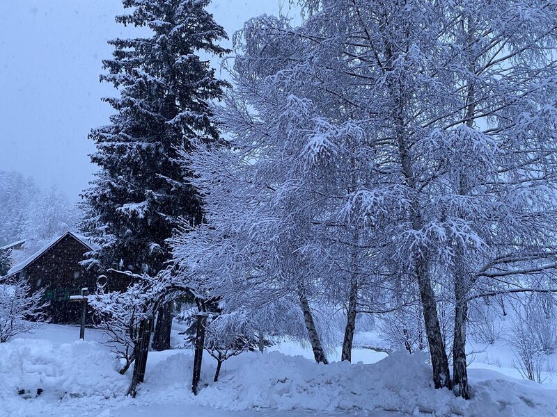 giardino d'inverno