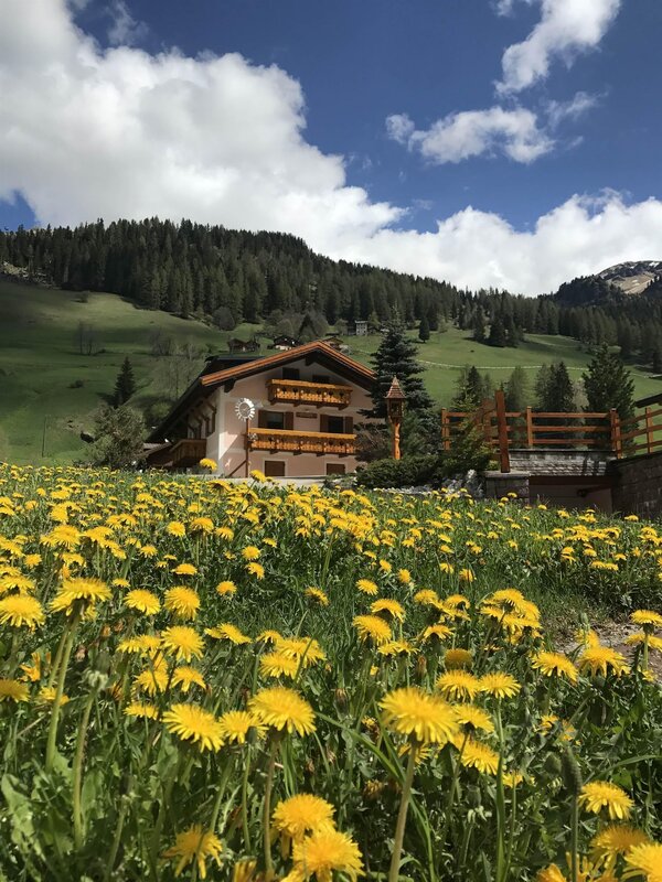 Cèsa Mandi e Miky - Dolomiti