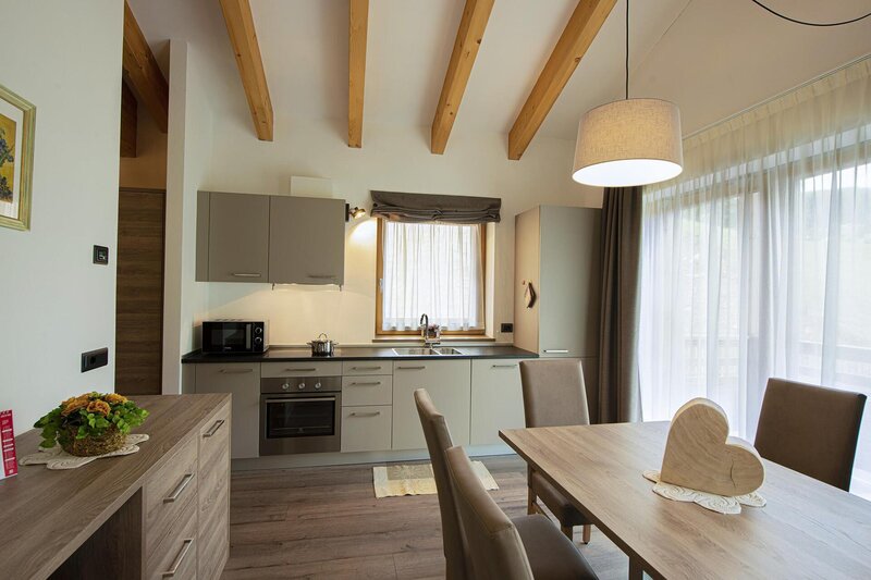 Chalet_Aster_Apartment_Sass_Pordoi