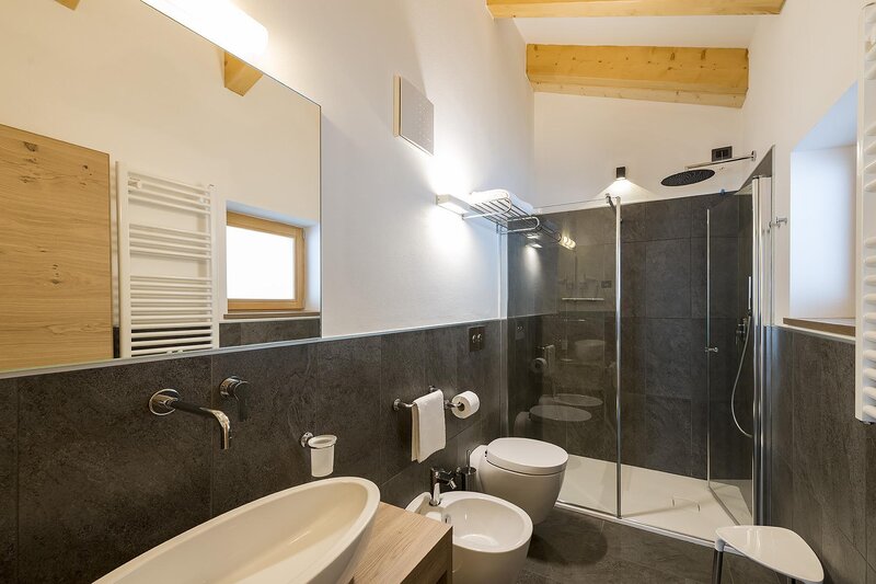 Chalet_Aster_Apartment_Sass_Pordoi
