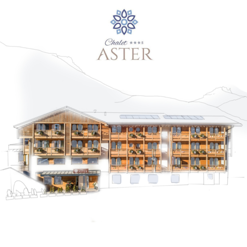 Aster illustrazione con logo