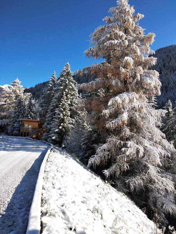 CASA-ALBERO-neve__