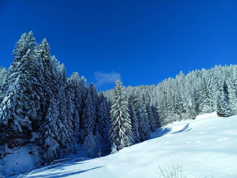 ciasa_modestina_601