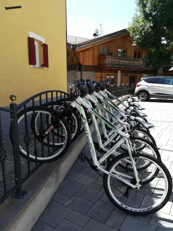 Biciclette a disposizione