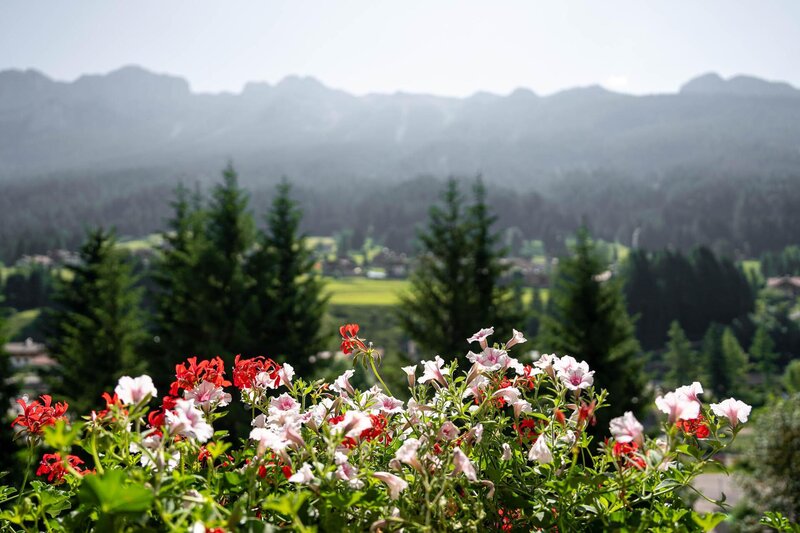 BIO COMFORT DOUBLE 8