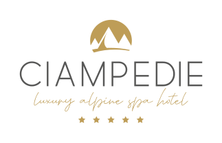 Ciampedie_NEU_Logo Ciampedie CMYK-03