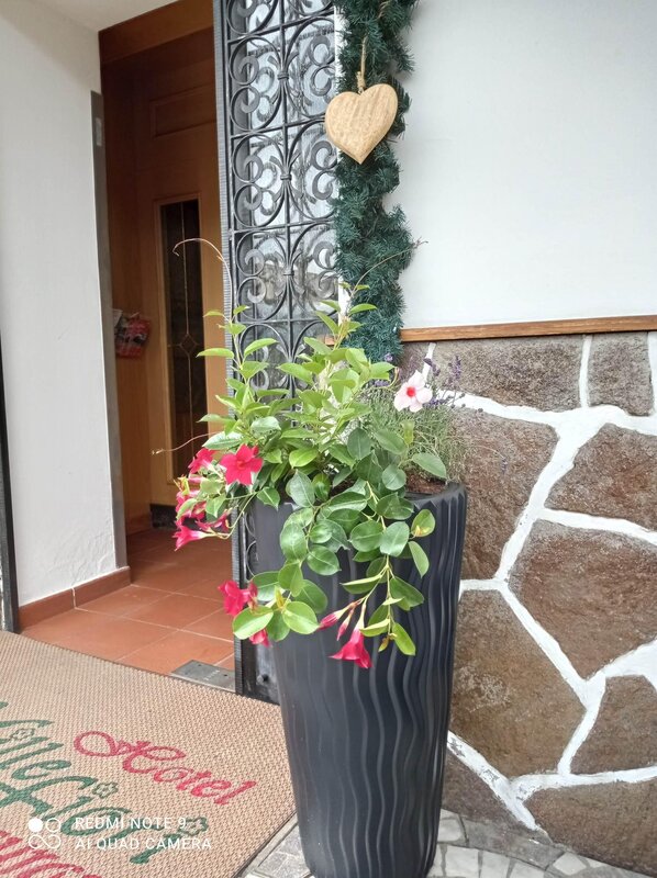 fiori entrata