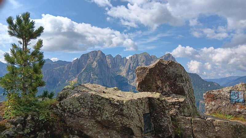 pano5