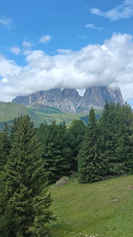 pano2