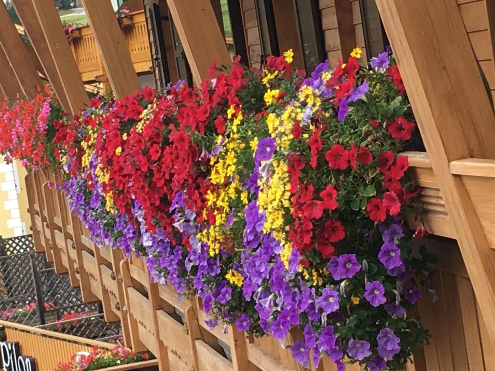 foto di hotel laurino pozza di fassa