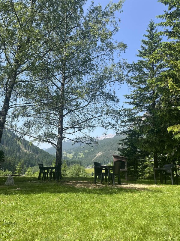 Vista giardino - angolo barbecue-
