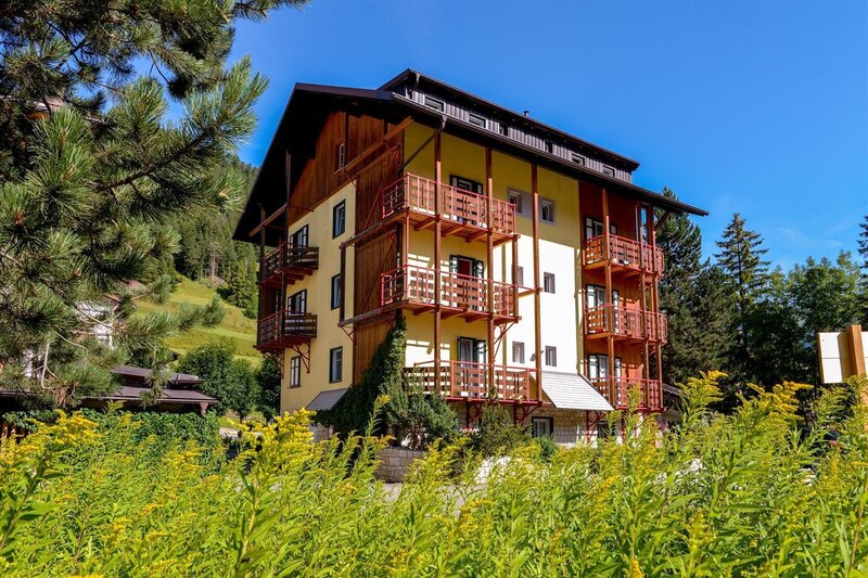 Comfortable apartments for summer holidays in the Dolomites