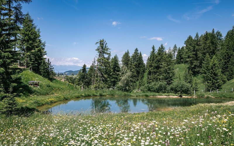 almhuette-mit-schwimmteich