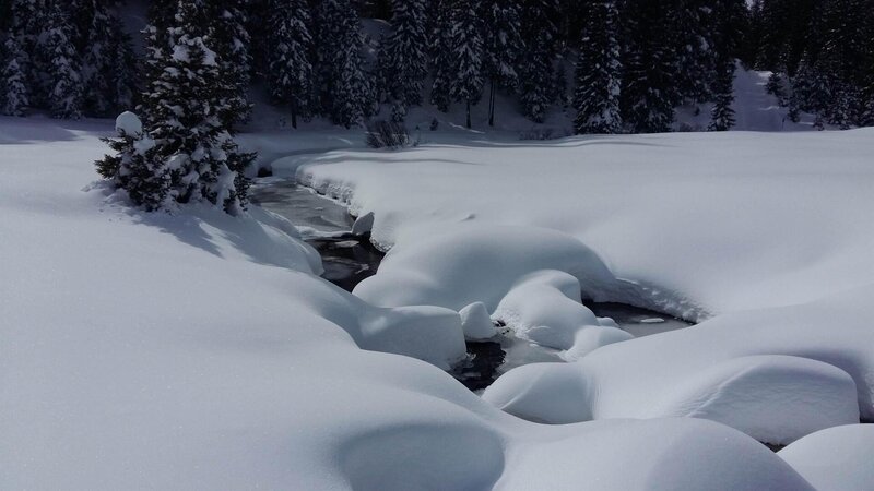 Alochet, presso le piste da fondo.