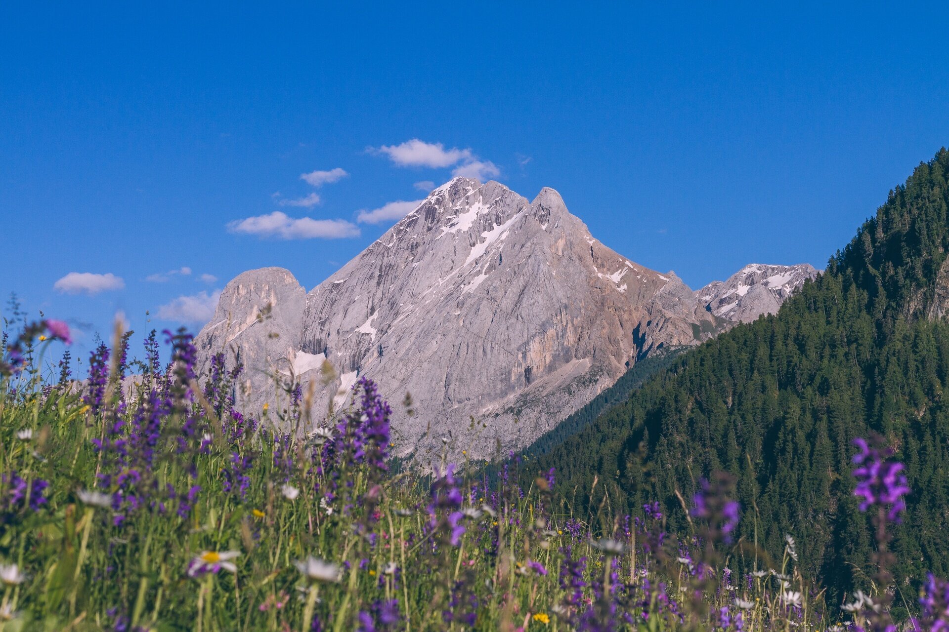 Alba   Pian Trevisan   Penìa   Alba