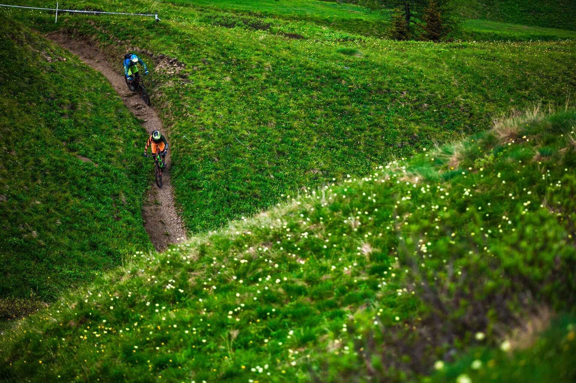 All Fever   Fassa Bike Park