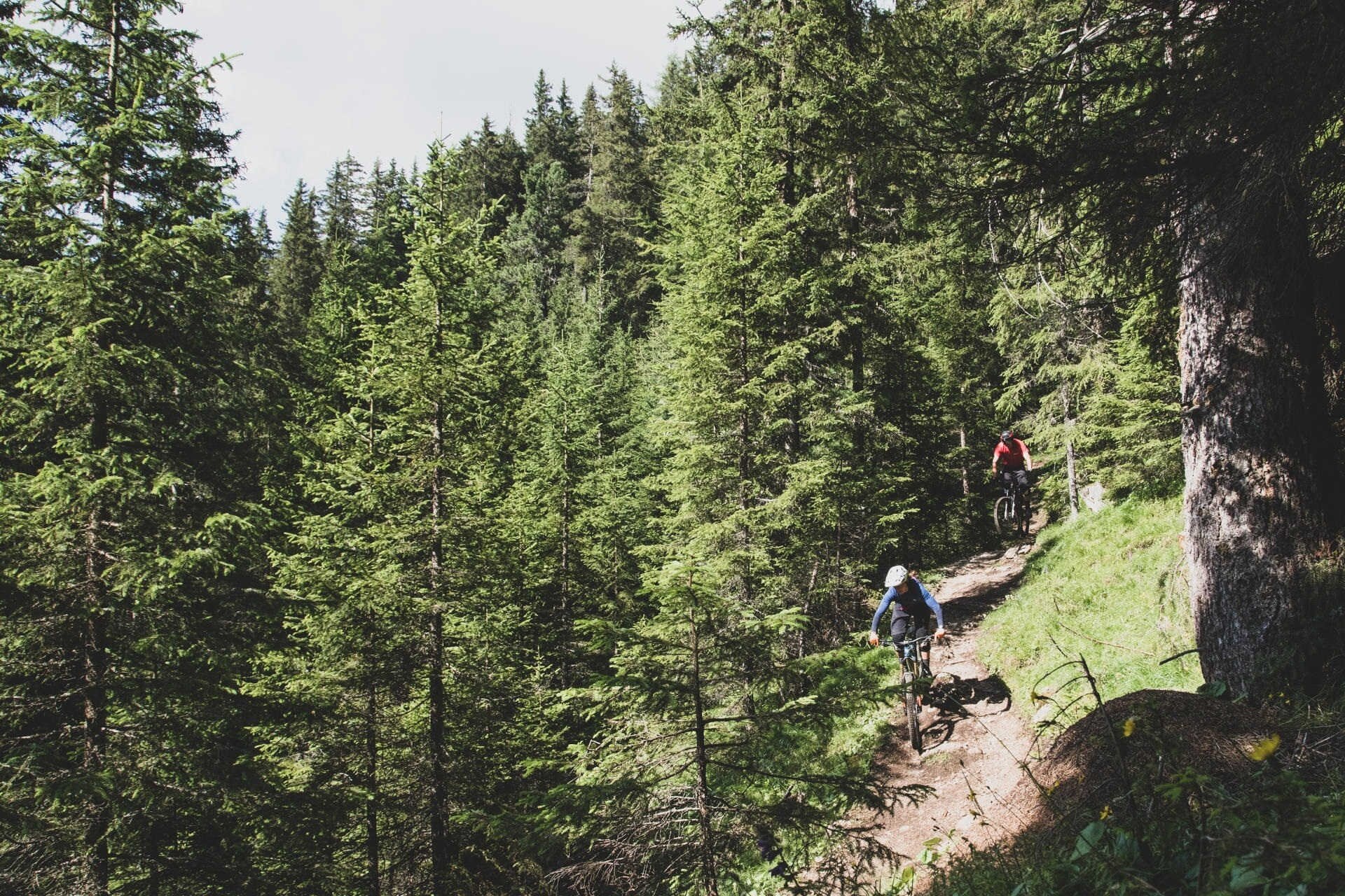 Animal House   Fassa Bike Park