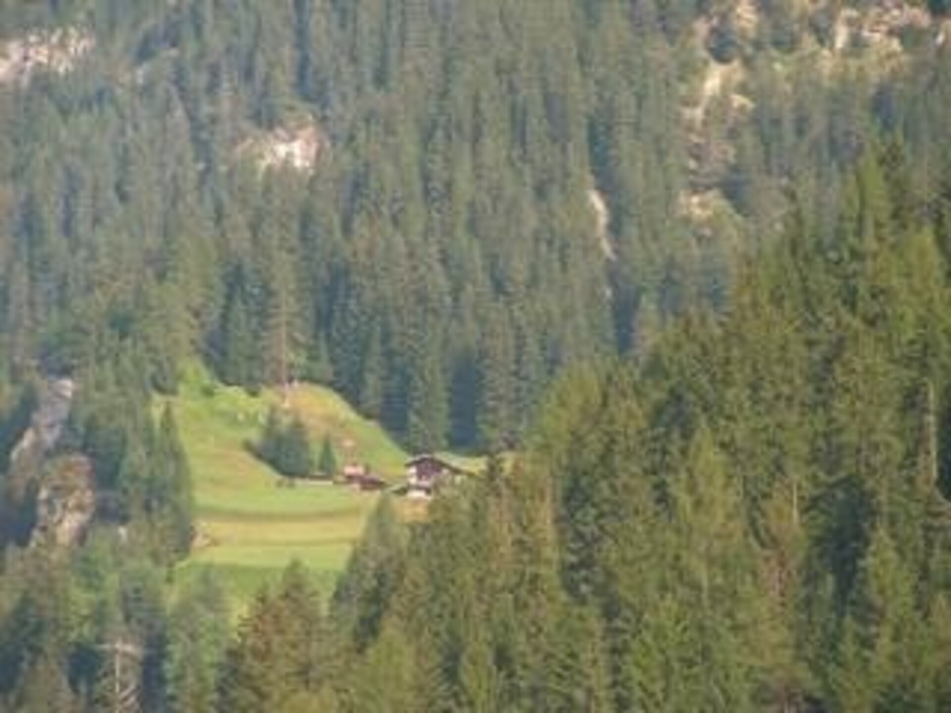 Canazei   Pian Pozata   Soracrepa   Gries