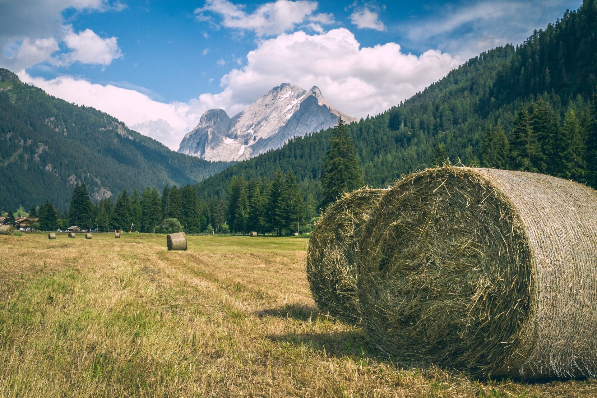 Sulle Tracce Dell’antica Piana Paludosa Di Soreghes