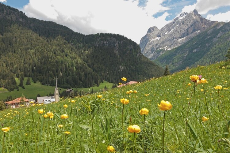 Canazei   Pènt De La Roa   Molin   Alba Penìa   Canazei