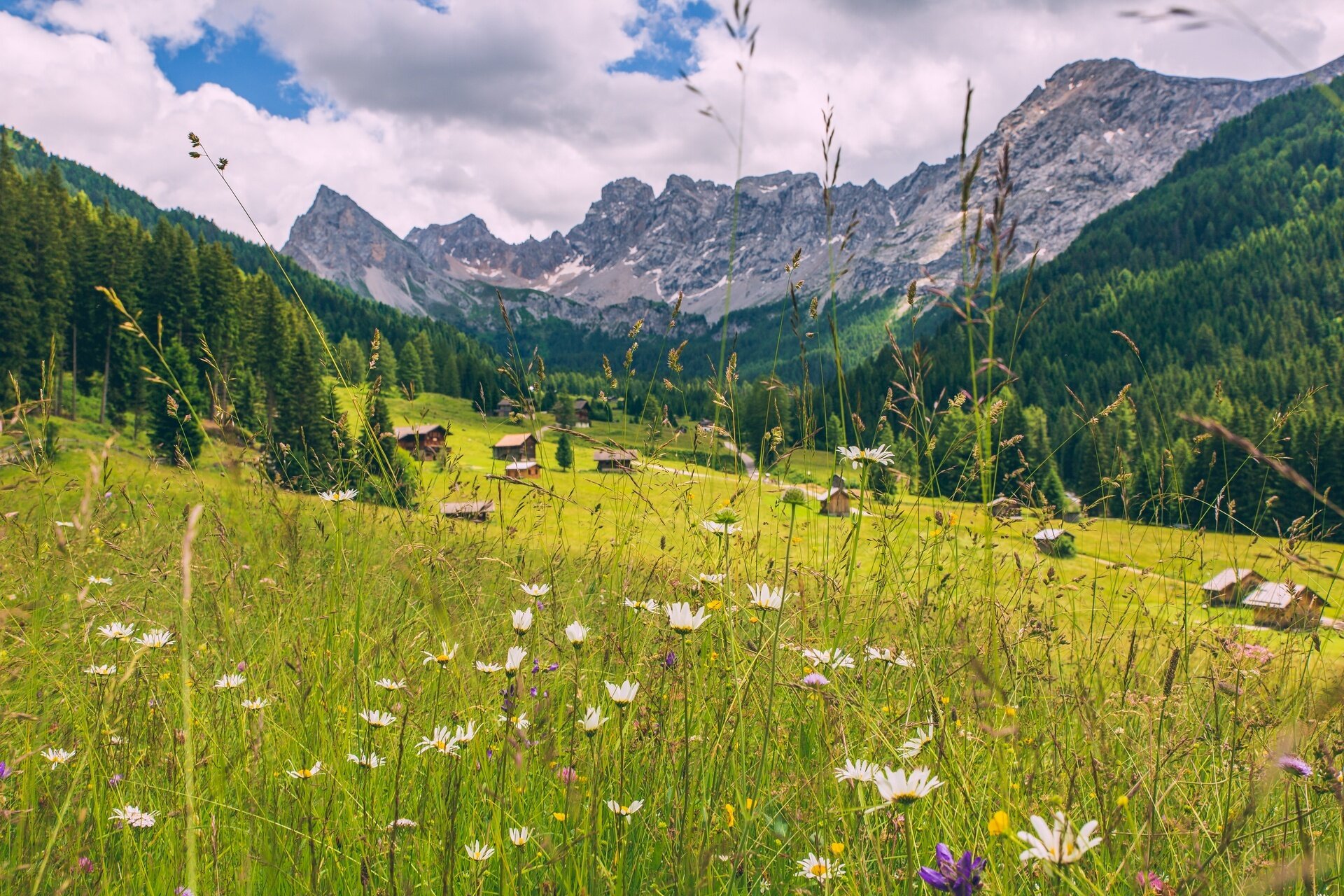 Von Pozza Zu Den Wasserfällen Im Val San Nicolò