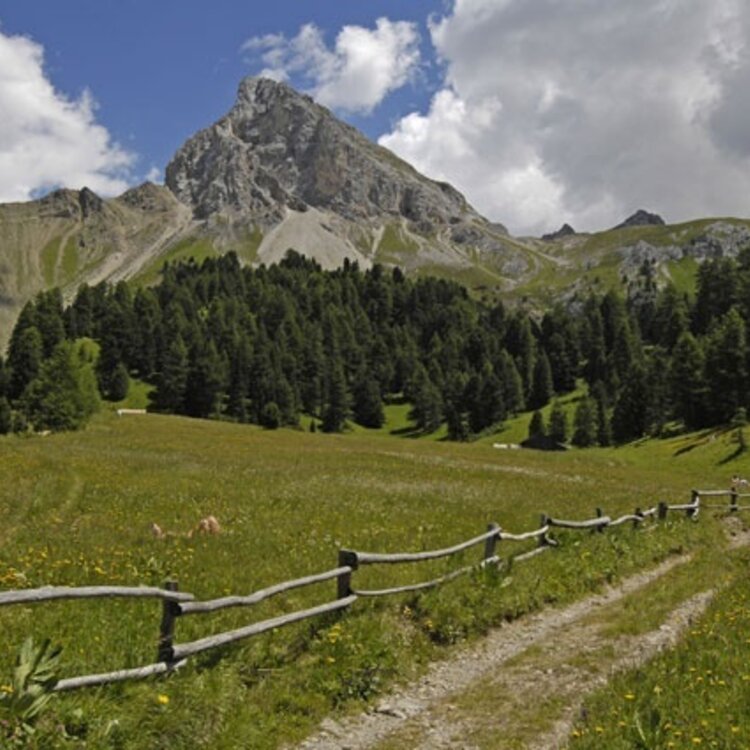 Dolomiti Trek King