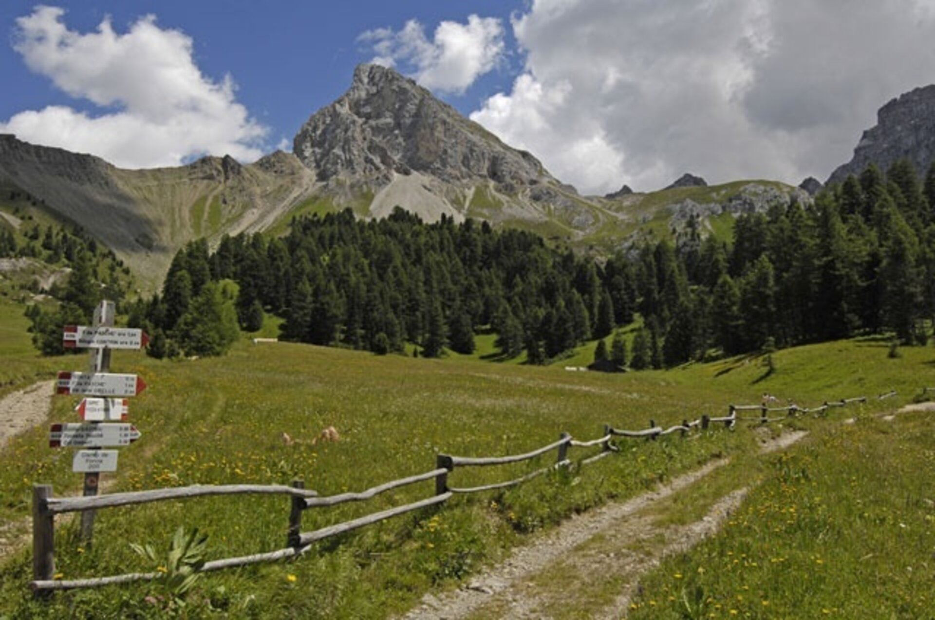 Dolomiti Trek King