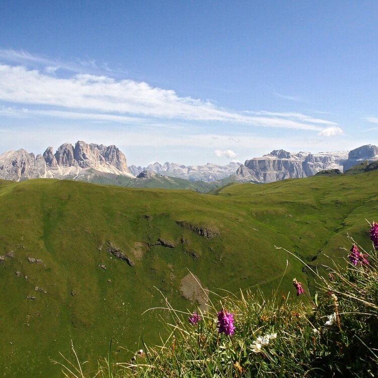 Dolomiti Trek King   Short Experience