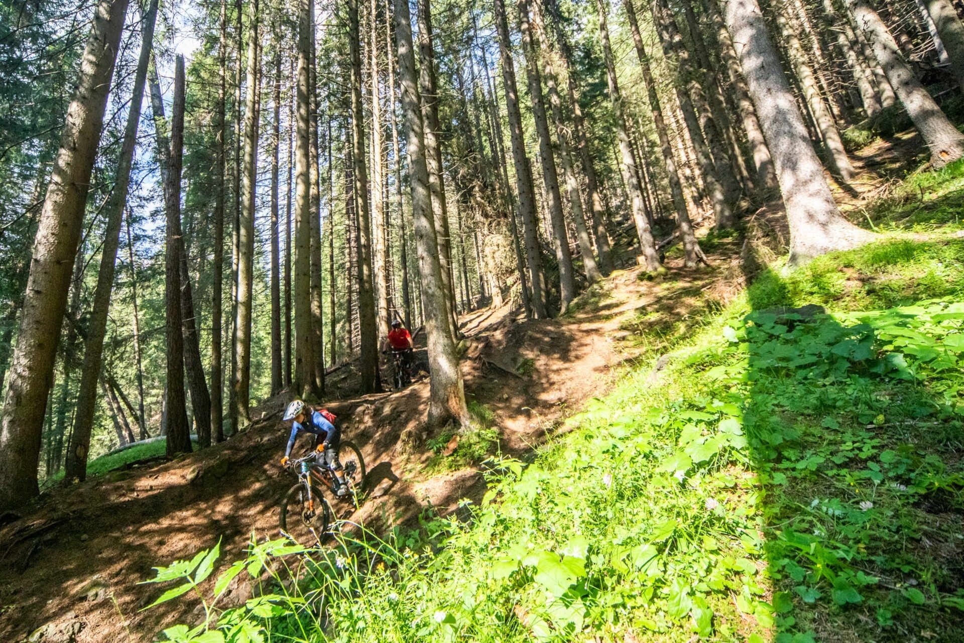 Electric Line   Fassa Bike Park